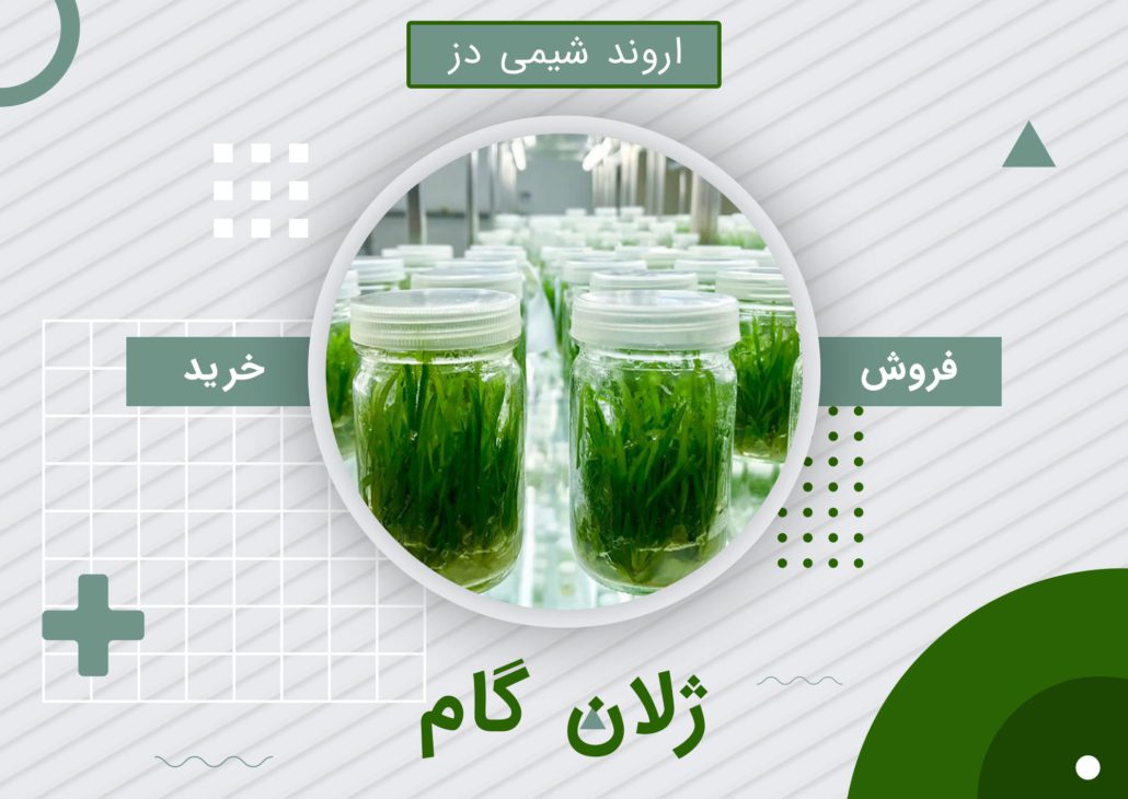 خرید ژلان گام