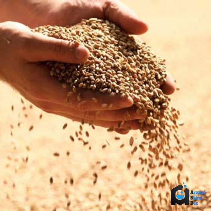 دی کلسیم فسفات در خوراک طیور