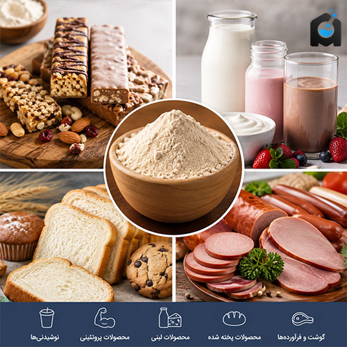 کاربرد پروتئین هیدرولیز شده در صنایع غذایی
